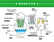 Ethylene brassylate